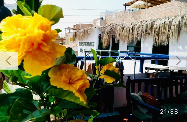 Surf Hostel My Friends Huanchaco Dış mekan fotoğraf